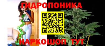 мяу мяу мука Ливны