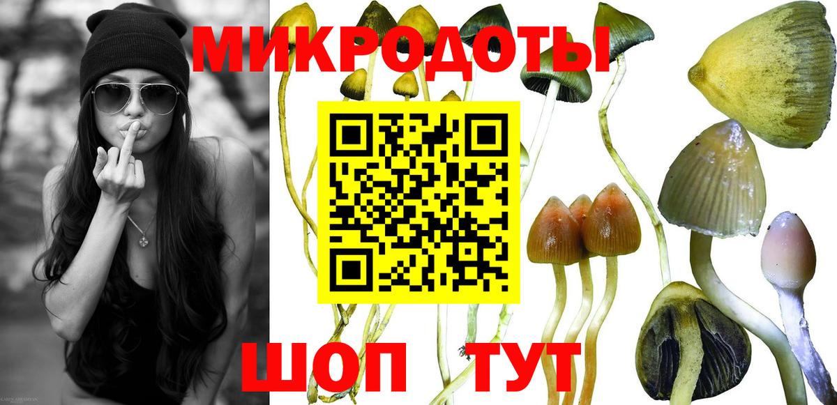 Псилоцибиновые грибы прущие грибы Губкинский