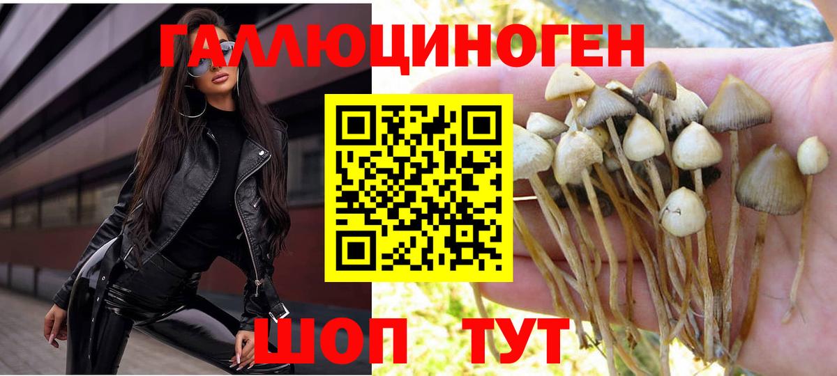 Губкинский  Галлюциногенные грибы Psilocybe  хочу наркоту  Вход с VPN 